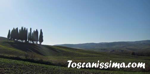 Toscanissima.com